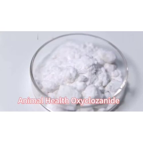 Animal Health Oxyclozanide