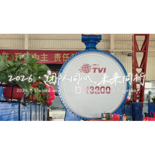 بناء فريق الشركة