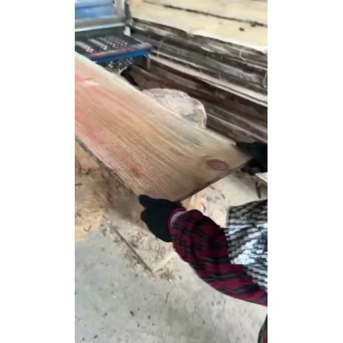 Máquina de corte de bordas MXB