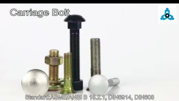 Carriage Bolts