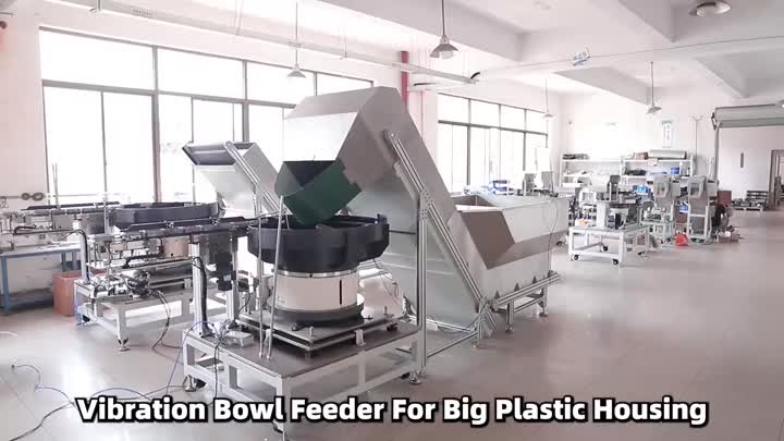 Hongchao'nun İçinde – 20 Yıllık Beslenme Mükemmelliği