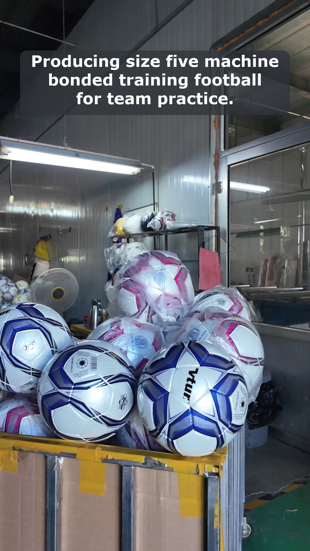 فيديو 40