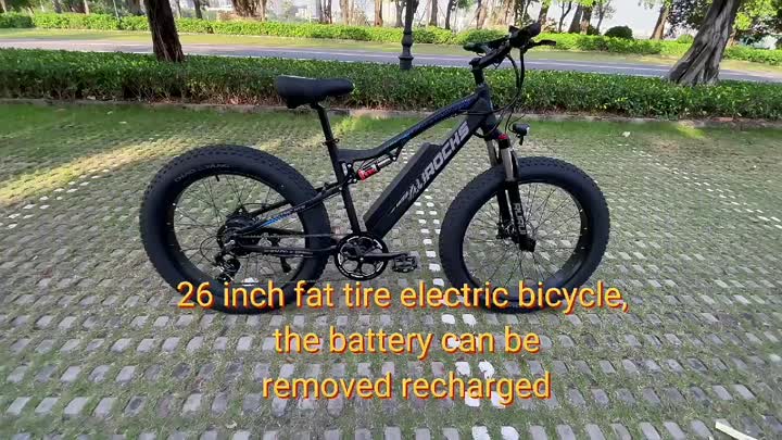 Bicicleta de montaña eléctrica