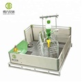 2024 Hot Selling Steel Sow Farrowing Crate for Pig Farming1