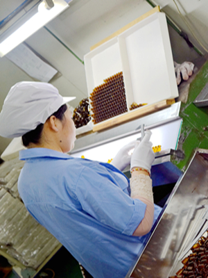 Quzhou Lab Technology Co., Ltd.