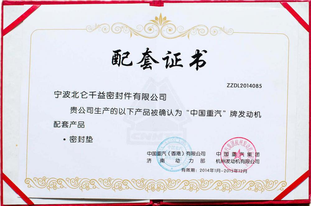 2014-2015 Year SINOTRUK OE Certificate