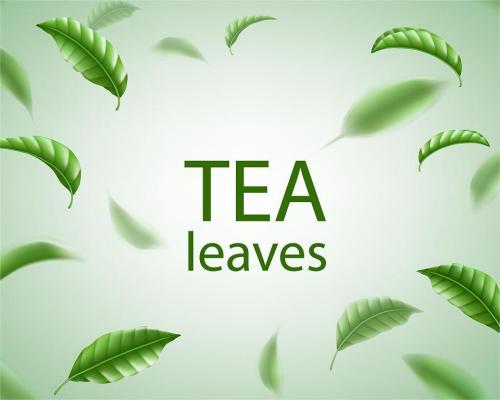 El té de otoño se lanza recientemente, y la solución de 360 ​​° para la exportación y las ventas nacionales está lista