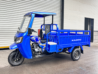 Чем трехколесные мотоциклы отличаются от традиционных велосипедов?