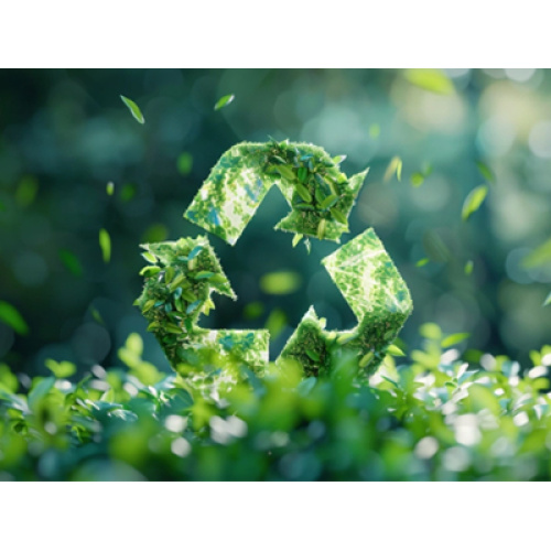 বিশেষ ক্ষারীয় ব্যাটারিতে অগ্রগতি: নিরাপদ, আরও দক্ষ এবং পরিবেশ-বান্ধব সমাধান আবির্ভূত হয়