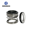 BERGMAN Submersible Clean Water Pump 108-30mm Mechanical Seal1
