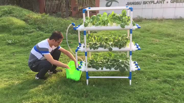 Hydroponic rack.