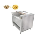 Carrots Ginger Potato Washing Machine Radish Brush Cleaning Machine1