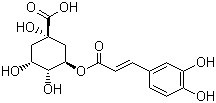 25%-98% Honeysuckle Flower Extract Powder , Honeysuckle Extract