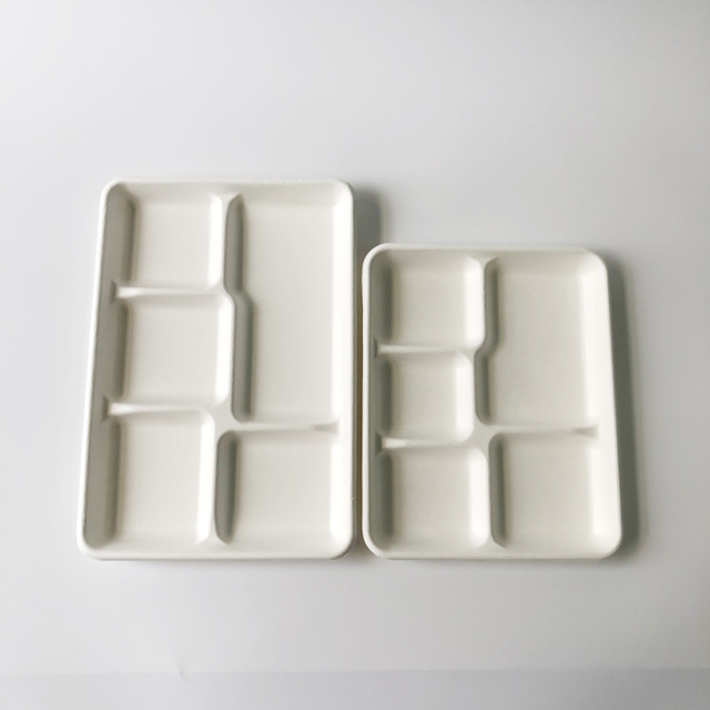 5-Div Bagasse-lade