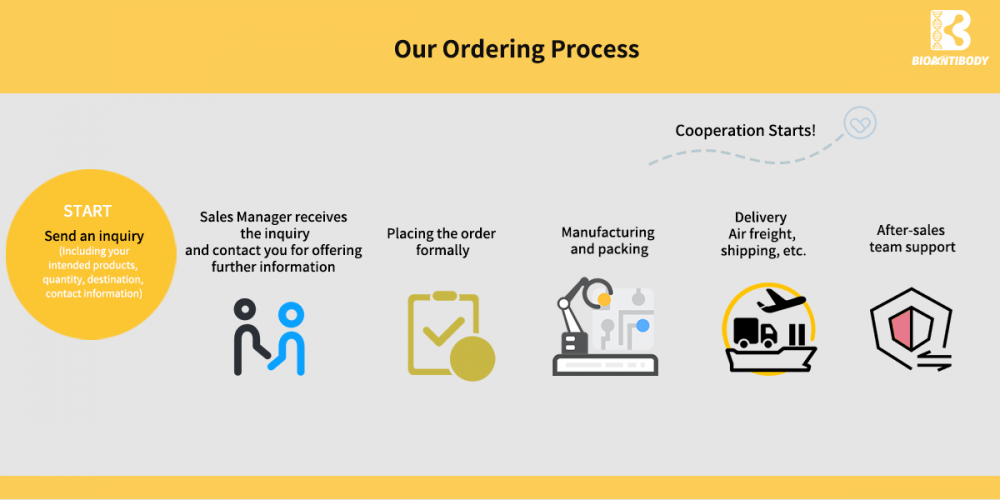 Ordering Process