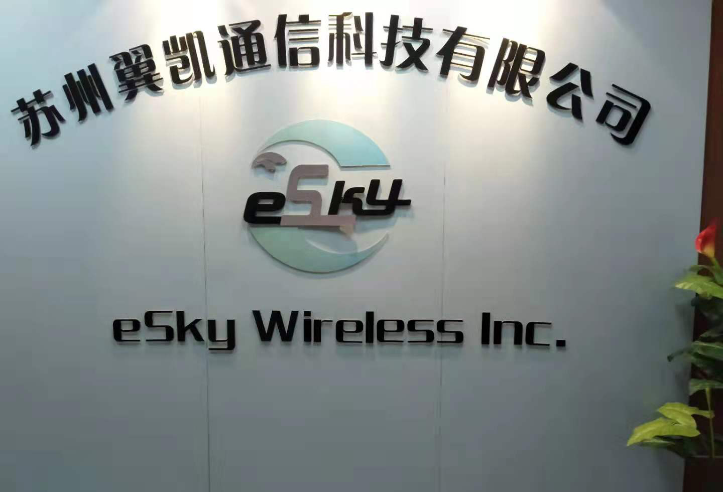 eSky wireless Inc