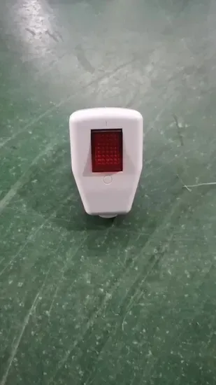 European Style Two-Pronged Switch Plug (P7055)1