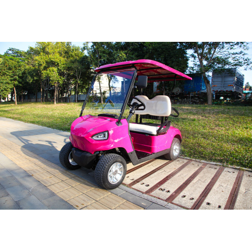 Shaanxi customer customized 2 seater golf cart