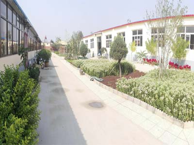 Shijiazhuang Hantex Int'l Co.LTD