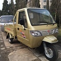650/800/1000cc Mini Truck with Cabin Cargo Tricycle1