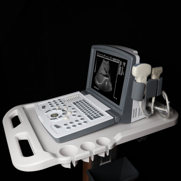 Top 10 Black And White Ultrasound Scanner Manufacturers