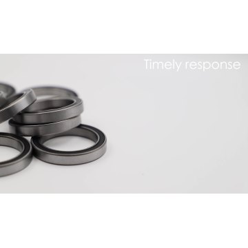 UKL brand high quality best price 6006-2RZTN9/HC5C3WT ceramic ball bearing1