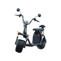 1500W Powerful Fat Tire Electric Bike - Adult Electric Motorcycle Scooter1