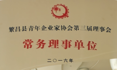 STANDING DIRECTOR UNIT OF THE 3RD COUNCIL OF FANCHANG YOUNG ENTREPRENEURS ASSOCIATION