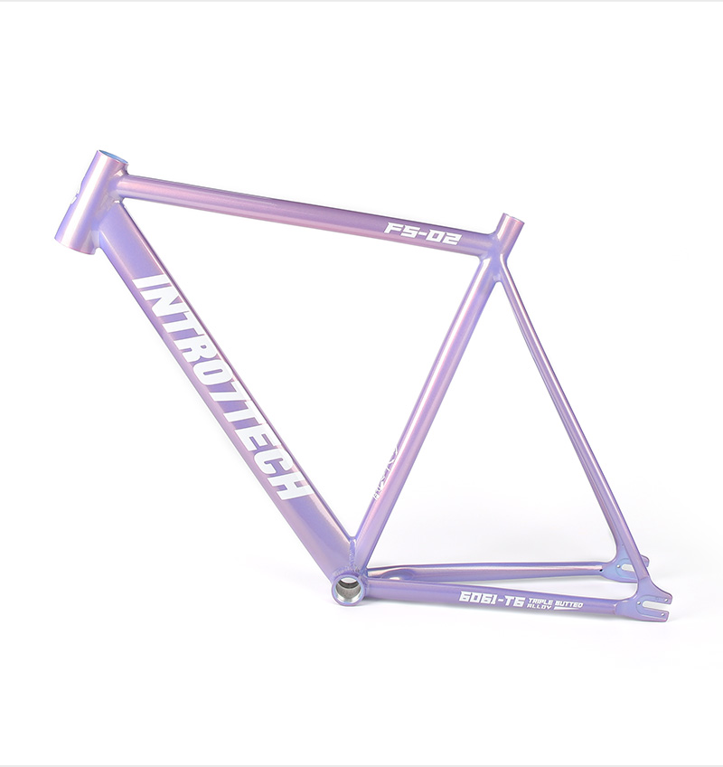 Fixed Bike Frame