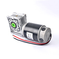 Yüksək keyfiyyətli fırça DC Motor 24v 800W - GearBox1 ilə