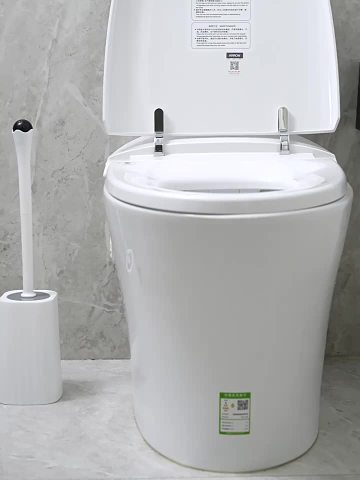 toilet scrubber