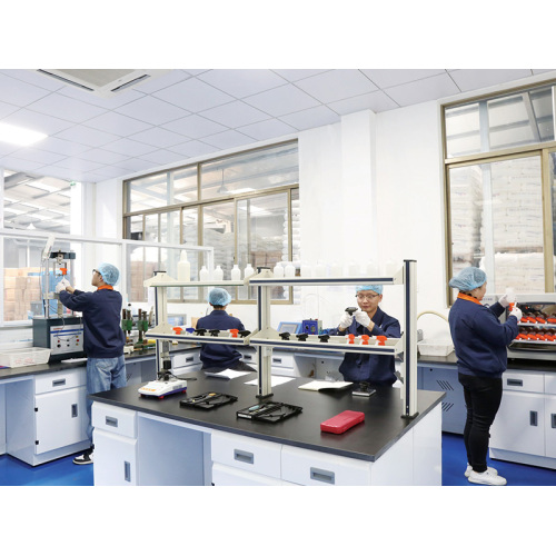 Zhejiang Yiben New Materials Co., Ltd.: Capacitando clientes globais com soluções plásticas estáveis ​​e ecológicas e força incomparável da cadeia de suprimentos