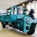 2021 Fashion Design 250CC Motorized Cargo Tricycle1