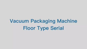 DZ-600/2G Floor Type Vacuum Packaging Machine