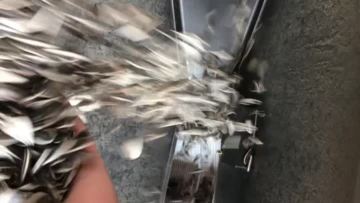 601