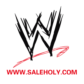 Shenzhen Saleholy electronics co., LTD