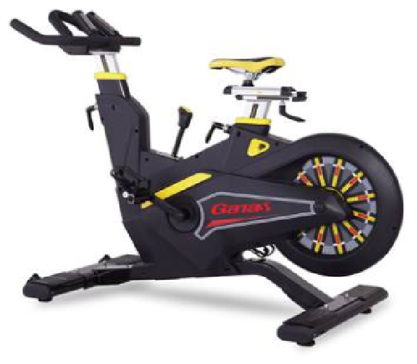 Ganas Silent Spinning Bike