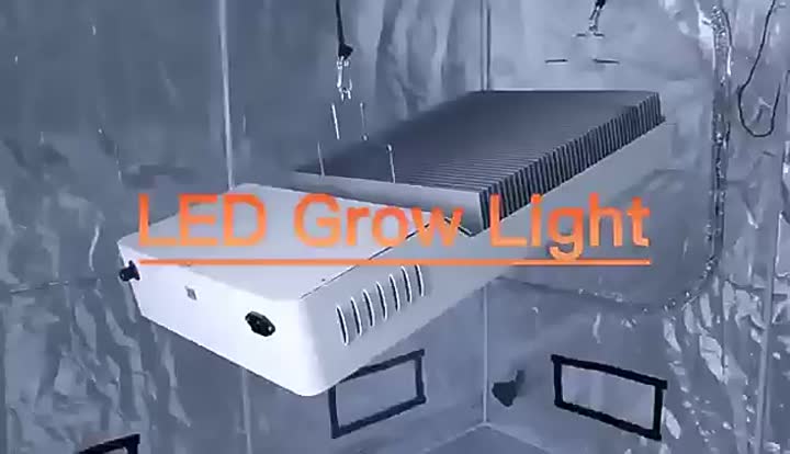 800w led grow light