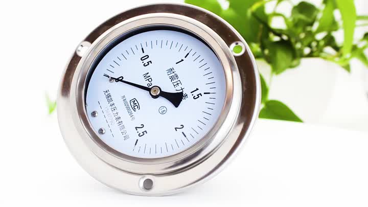 pressure gauge