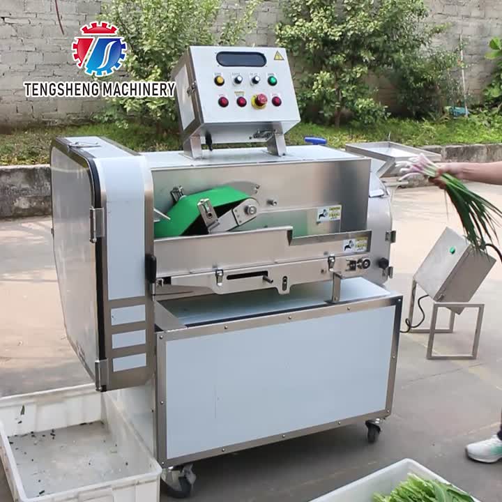 Máquina de corte de vegetais multifuncional industrial TS-Q118C