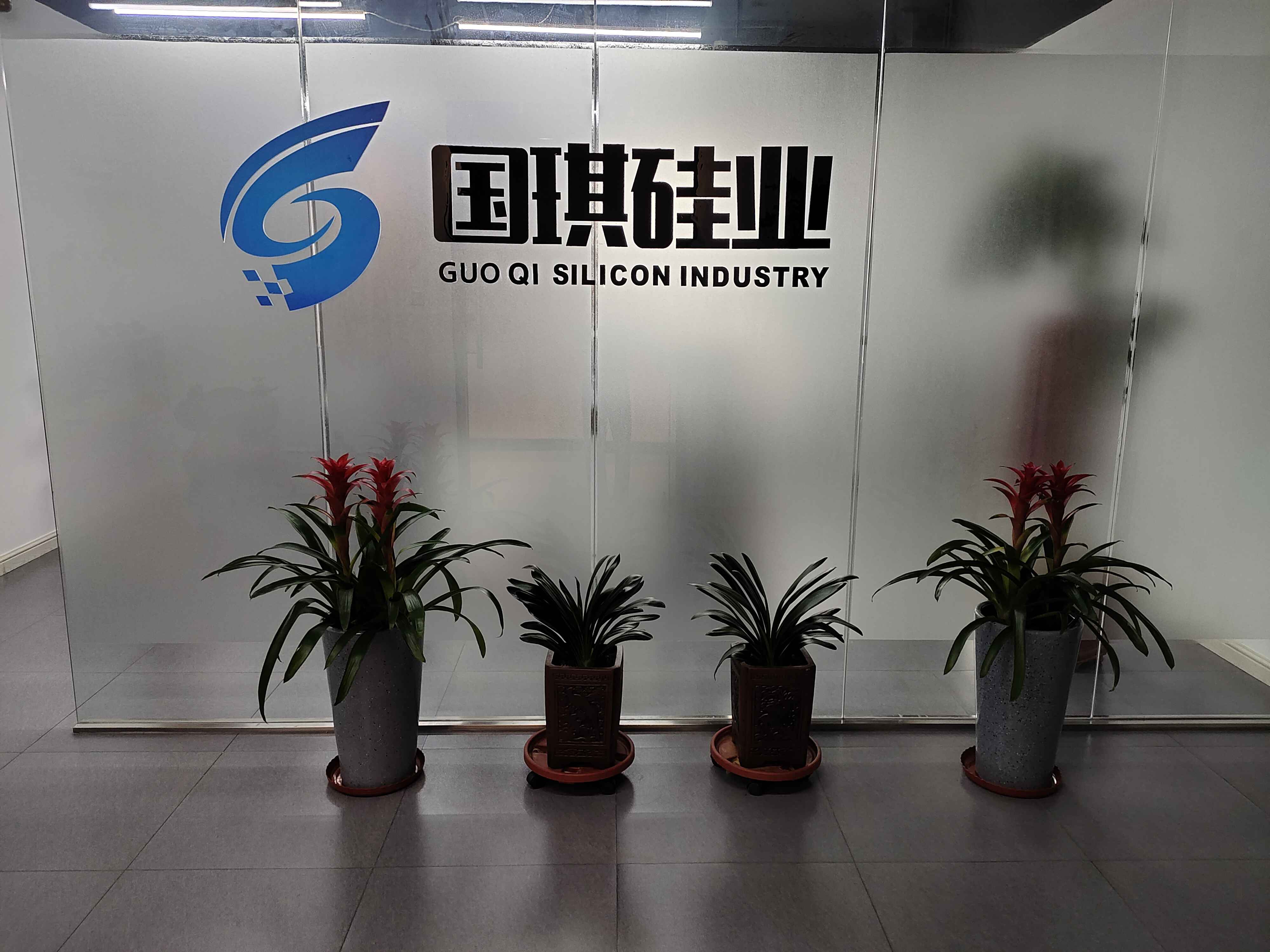 ANYANG GUOQI SILICON INDUSTRY CO.,LTD