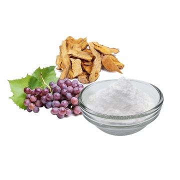 The Efficacy of Resveratrol