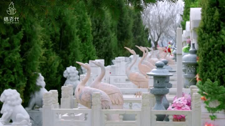 77c7943da0e20b9ad0b3e7475673c5e0