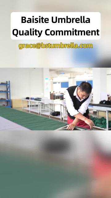 BaiSiTe Manufacture Video 10