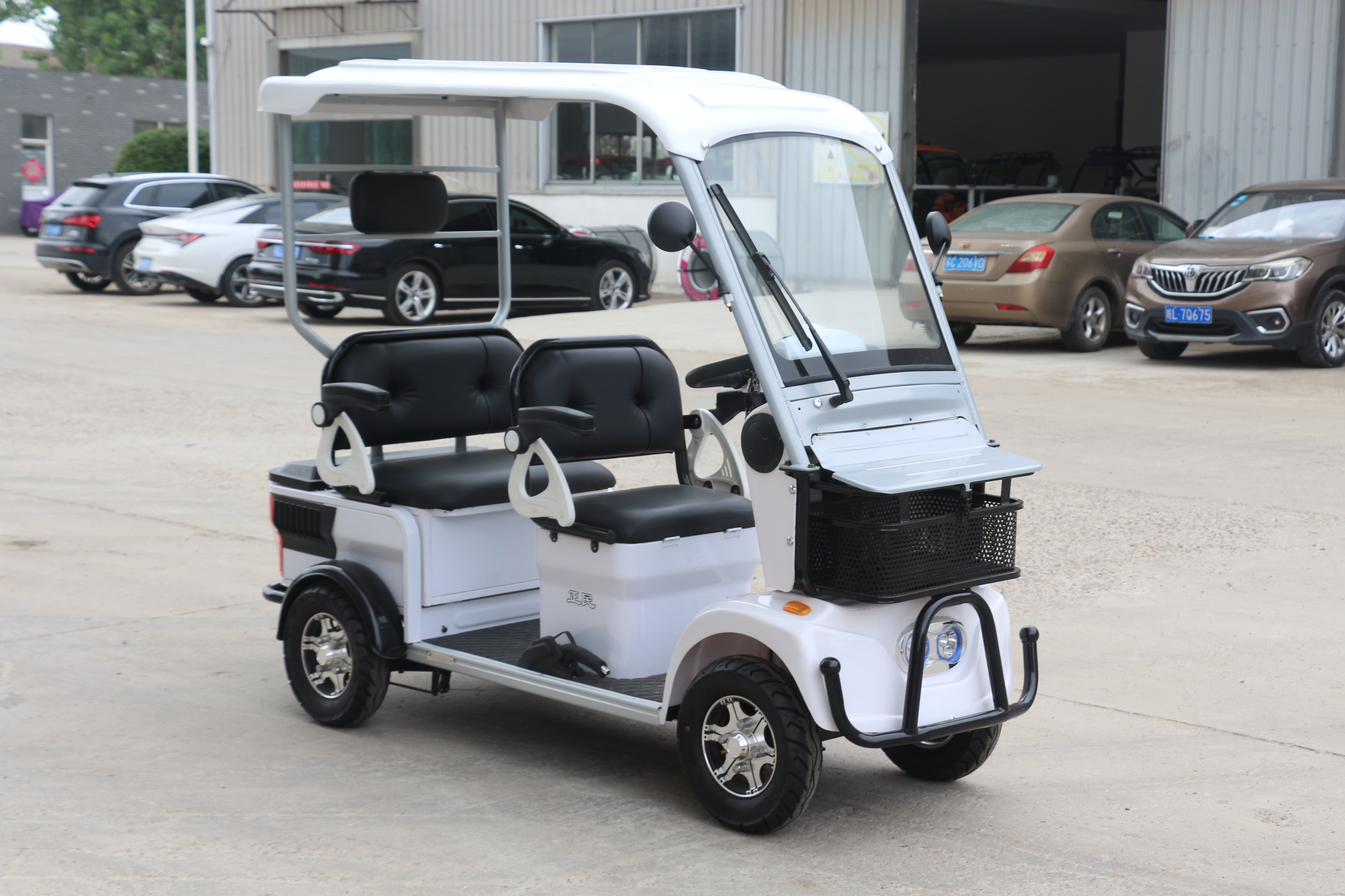 S1-6 electric tricycle with roof