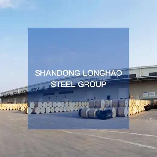 Shandong Longhao Steel Group Co., Ltd.