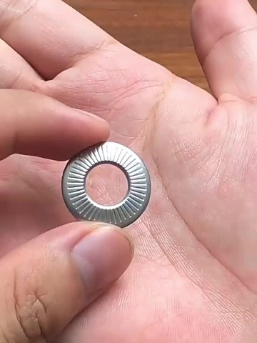Stainless Steel Knurling Disc Spring Safe Washers