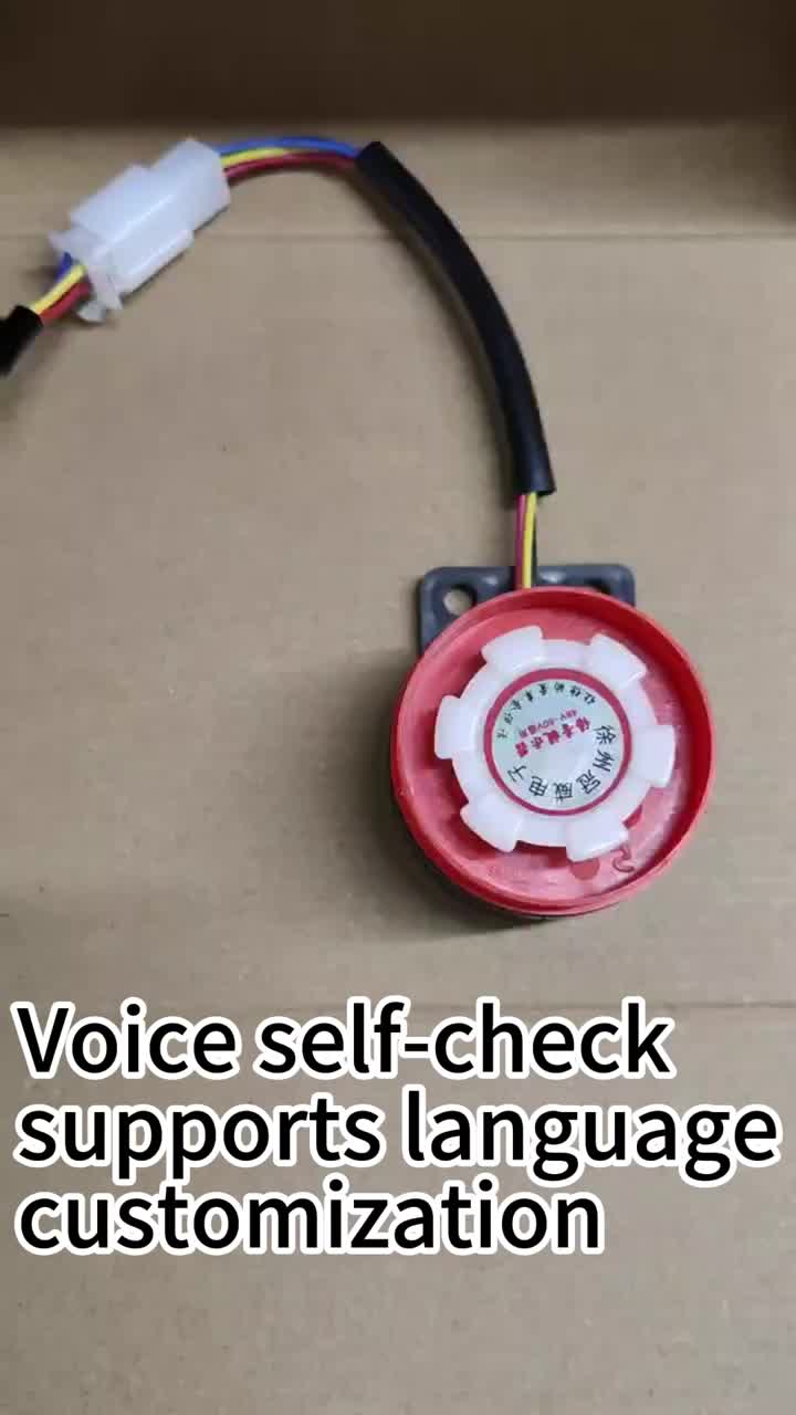Voice self-test