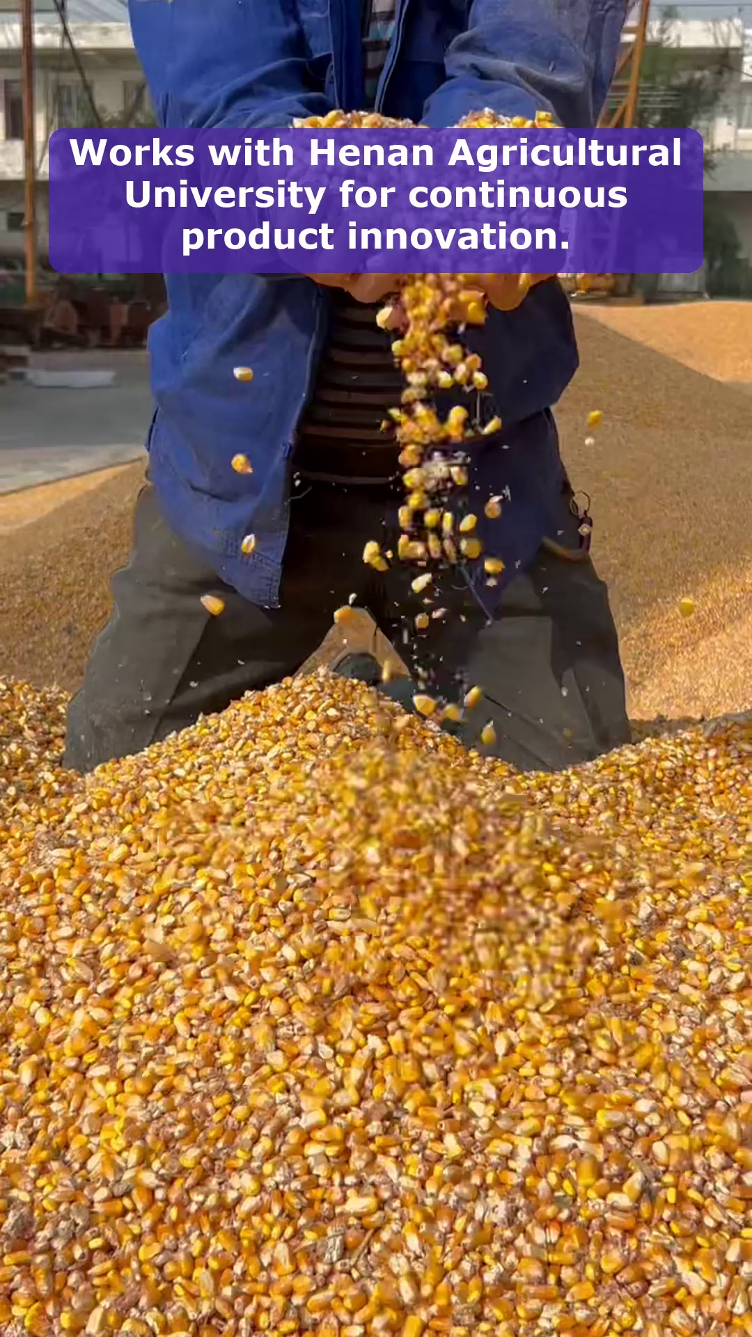 Vidéo 42