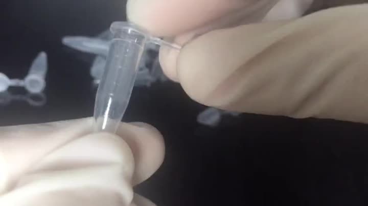 Tubi di centrifuga da 0,5 ml